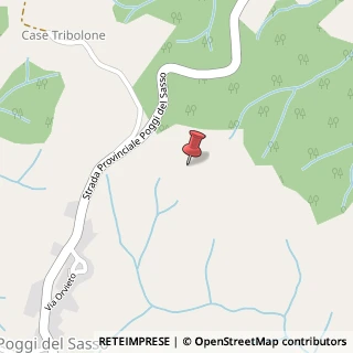 Mappa Via Torre, 32, 58044 Cinigiano, Grosseto (Toscana)