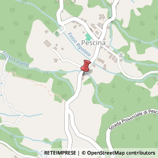 Mappa Loc. Pescina, 29, 58038 Seggiano, Grosseto (Toscana)