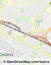 Autotrasporti Cesena,47521Forlì-Cesena