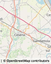 Ortofrutticoltura Cesena,47521Forlì-Cesena