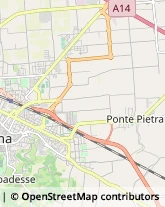 Podologia - Studi e Centri Cesena,47521Forlì-Cesena