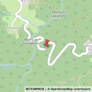 Mappa Localita' Molino di Granaglione-borgo Capanne, 2, 40045 Granaglione, Bologna (Emilia Romagna)