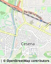 Via Roncofreddo, 30,47521Cesena