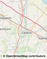 Macellerie Bertinoro,47032Forlì-Cesena