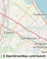 Erboristerie Gambettola,47035Forlì-Cesena