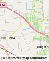 Erboristerie Cesena,47023Forlì-Cesena