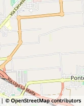 Via Loreto, 156,47022Cesena