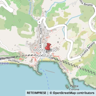 Mappa Via Verdi,  13, 19016 Monterosso al Mare, La Spezia (Liguria)