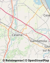 Articoli da Regalo - Dettaglio Cesena,47023Forlì-Cesena