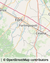 Ortofrutticoltura Bertinoro,47032Forlì-Cesena