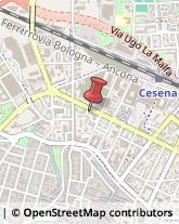 Viale Giovanni Bovio, 458,47521Cesena