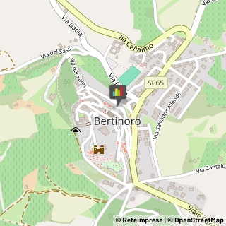 Alberghi Bertinoro,47032Forlì-Cesena
