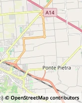 Vivai Piante e Fiori Cesena,47521Forlì-Cesena