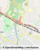 Autotrasporti Cesena,47023Forlì-Cesena