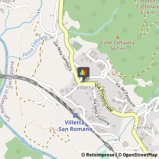 Aziende Sanitarie Locali (ASL) San Romano in Garfagnana,55038Lucca