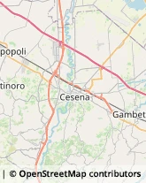 Alimentari Cesena,47023Forlì-Cesena