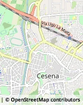 Via Arrigoni, 256,47023Cesena