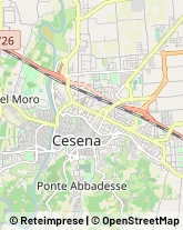 Oli Alimentari e Frantoi Cesena,47521Forlì-Cesena