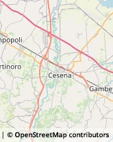 Asili Nido Cesena,47521Forlì-Cesena