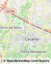 Asili Nido Cesena,47522Forlì-Cesena