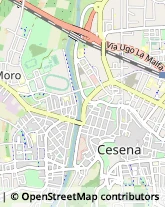 Psicologi Cesena,47522Forlì-Cesena