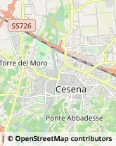 Psicologi Cesena,47522Forlì-Cesena