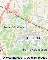 Massaggi Cesena,47522Forlì-Cesena