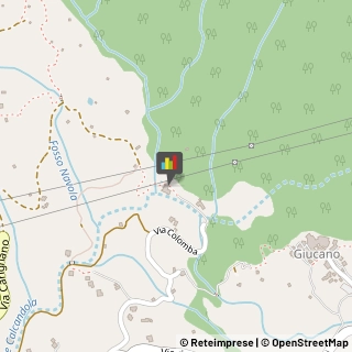 Agriturismi Fosdinovo,54035Massa-Carrara