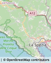 Ministeri - Servizi Centrali e Periferici La Spezia,19124La Spezia