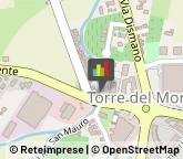 Veterinaria - Ambulatori e Laboratori,47522Forlì-Cesena