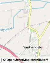 Via Dante Alighieri, 18,47814Bellaria-Igea Marina