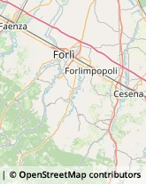 Falegnami Bertinoro,47032Forlì-Cesena