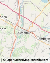 Imprese di Pulizia Cesena,47522Forlì-Cesena