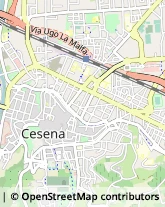 Viale Giovanni Bovio, 458,47521Cesena