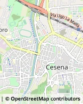 Psicologi Cesena,47522Forlì-Cesena