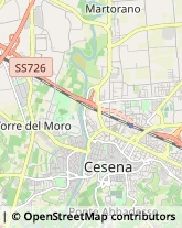 Ortofrutticoltura Cesena,47023Forlì-Cesena