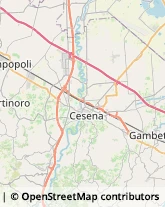 Ortofrutticoltura Cesena,47521Forlì-Cesena