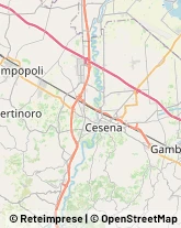 Enoteche Bertinoro,47032Forlì-Cesena