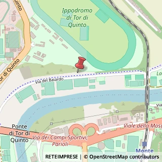 Mappa Via del Baiardo, 25, 00191 Roma, Roma (Lazio)