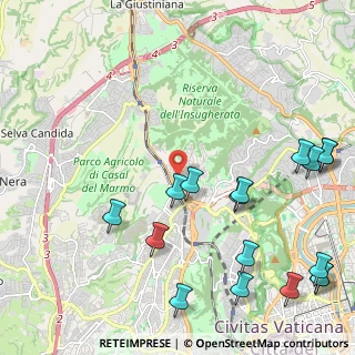 Mappa Via Giovanni Antonio Rayneri, 00135 Roma RM, Italia (3.03059)