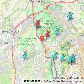 Mappa Via Erminia Fusinato, 00135 Roma RM, Italia (2.62273)