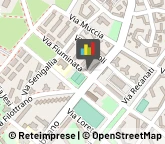 Ragionieri e Periti Commerciali - Studi Roma,00156Roma