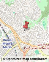 Via Giuseppe Allievo, 59,00135Roma