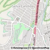 Map Roma