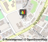 Ragionieri e Periti Commerciali - Studi Roma,00135Roma