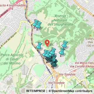 Mappa Via Trionfale, 00100 Roma RM, Italia (0.793)
