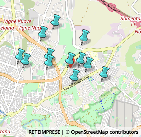 Mappa Via Petrocchi Policarpo, 00137 Roma RM, Italia (0.81)