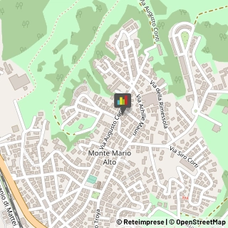 Paste Alimentari - Produzione,00135Roma