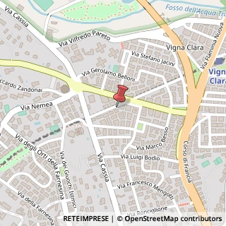 Mappa Via Pompeo Neri, 42, 00191 Roma, Roma (Lazio)