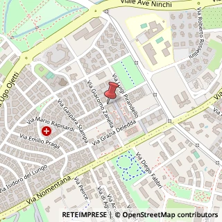 Mappa Via Ada Negri, 30, 00137 Guidonia Montecelio, Roma (Lazio)